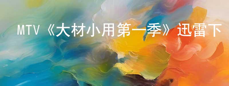 代雄飛發布MTV《大材小用第一季》迅雷下載/在線觀看/百度云-都市/情感-美劇天堂